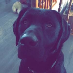 Meet your Posher, Haley